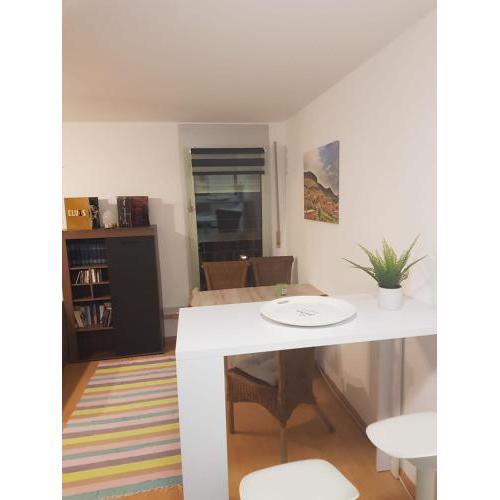 gemütliche Wohnung in Neustadt / Alaunpark