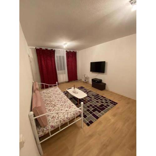 Gemütliche Wohnung mit Smart-TV und großem Balkon