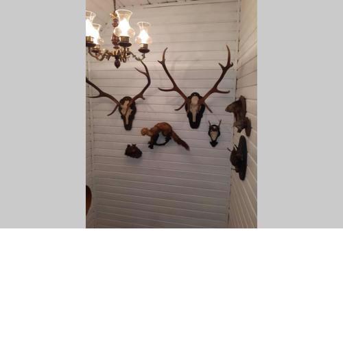 Gemütliches Ferienhaus im Ennstal