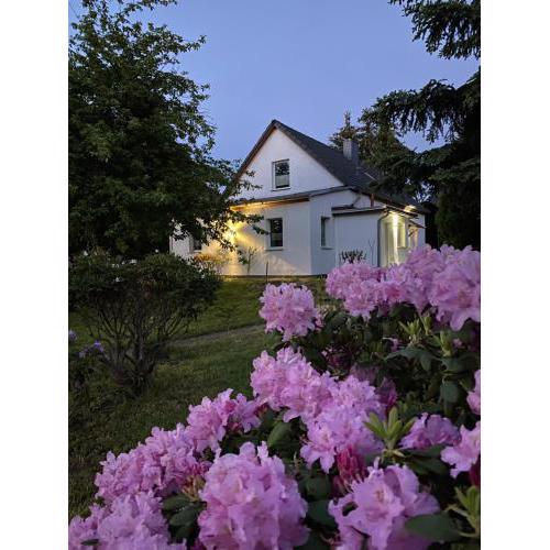 gemütliches Ferienhaus