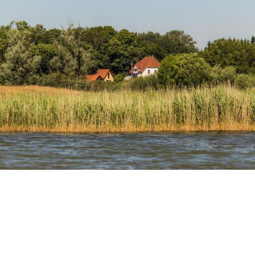 Gemütliches Ferienhaus