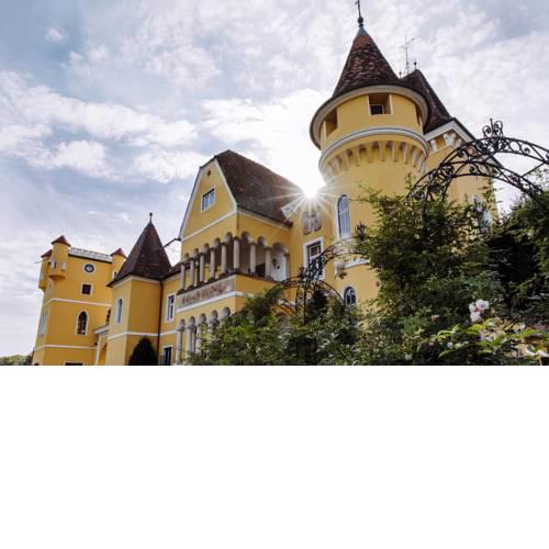 Georgi Schloss