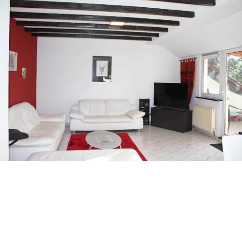 Geräumige Ferienwohnung mit Dachterrasse
