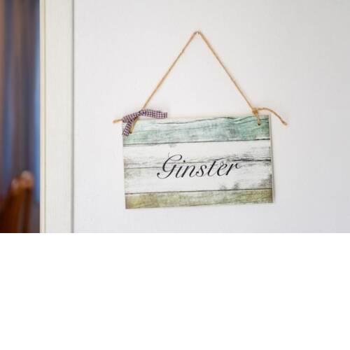 Ginster - [#a43399]