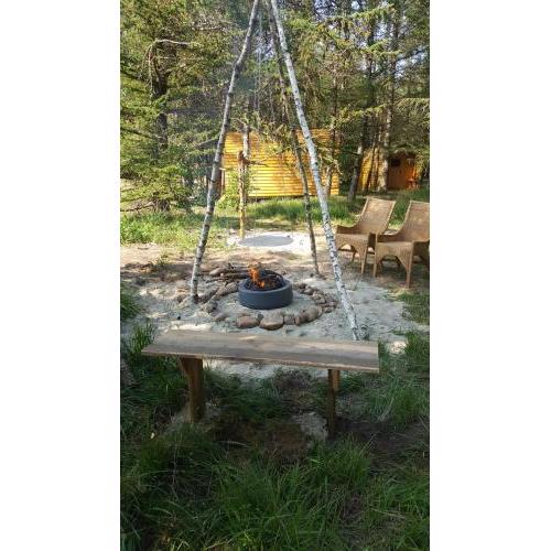 Glamping Pod im Wald