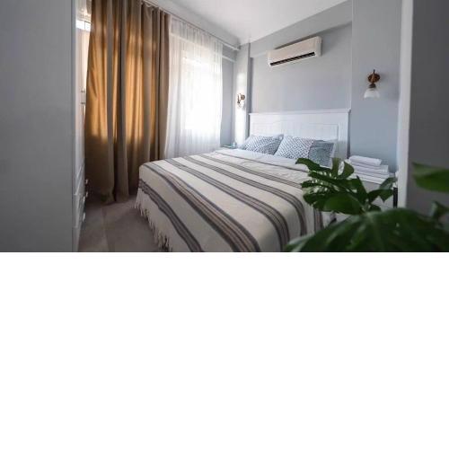 Gokay Homes