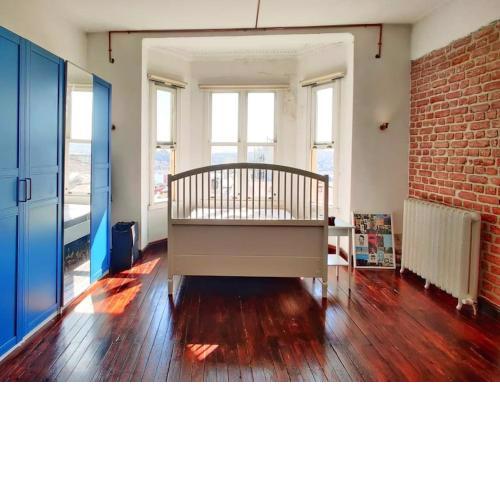 Golden Horn and Galata Tower view, Historical flat