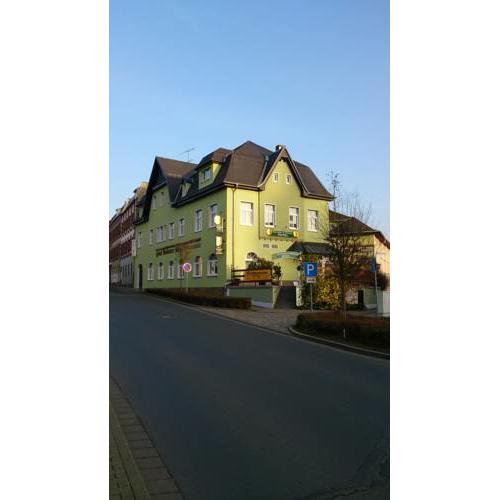 Goldener Löwe Triebes