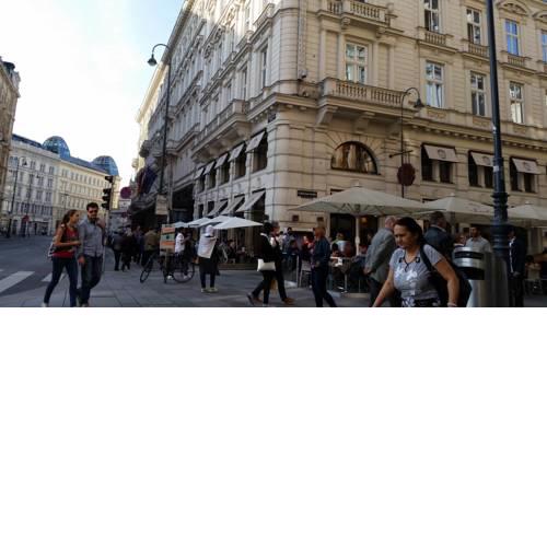 Goldfisch Apartment Vienna Opera House