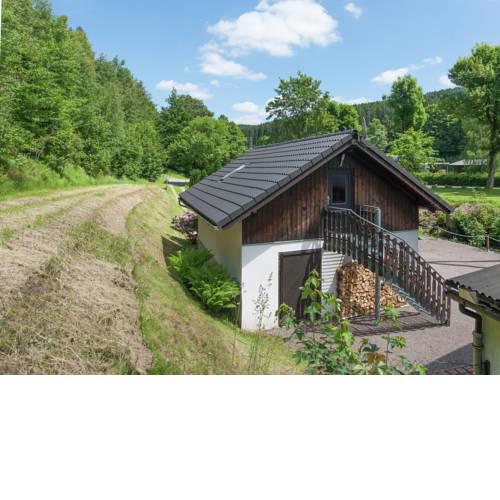 Quaint Apartment in Goldisthal with Forest nearby