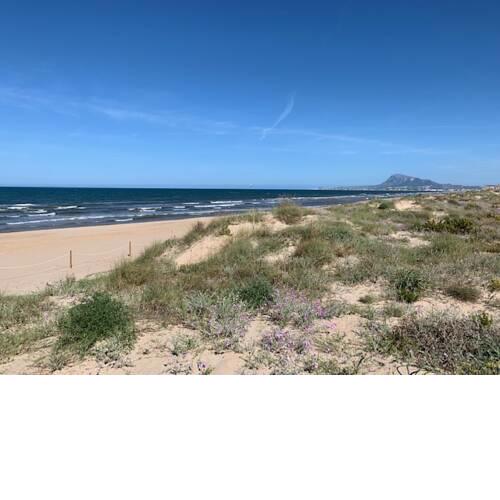GOLF Y MAR - Oliva Nova