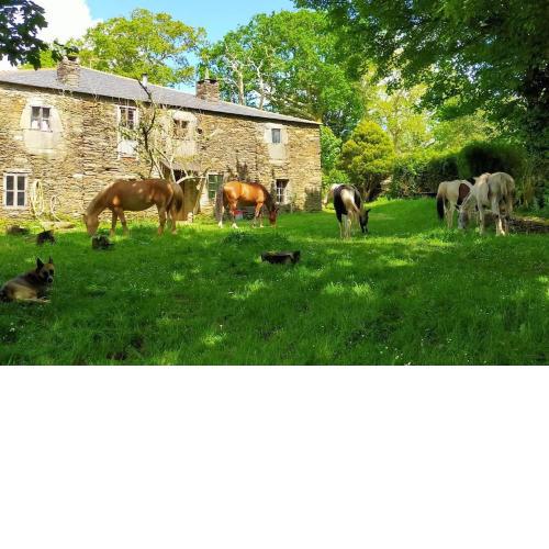 Granja Labrada: Alojamiento con caballos