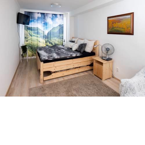 Great flat near center with view on Mountains