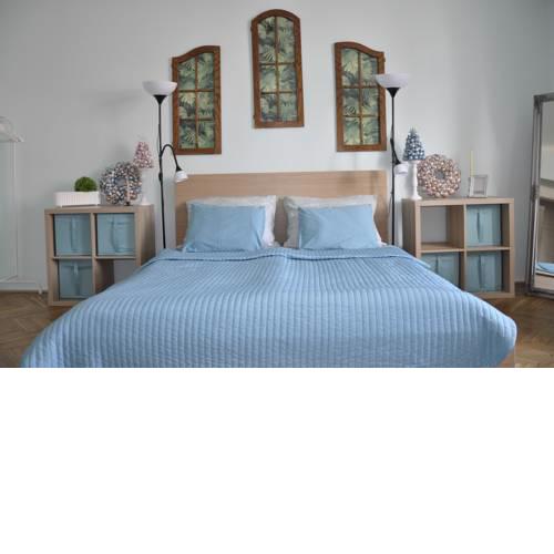 great location in Prague, spacious apartment