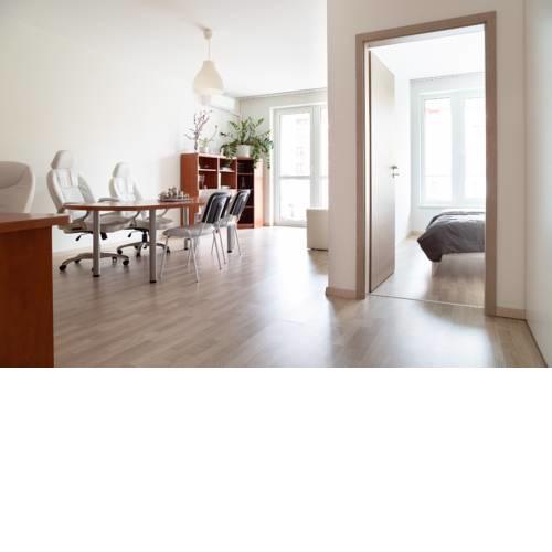 Great tourist and business Apartment near center