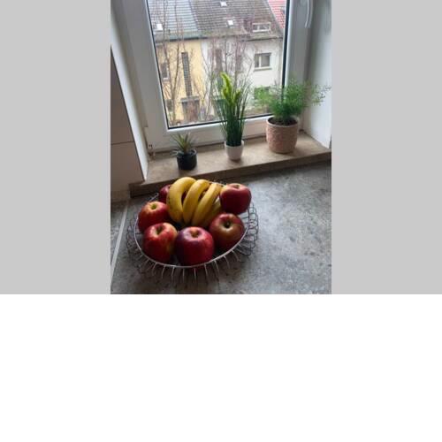 green, central, quiet, bright apartment