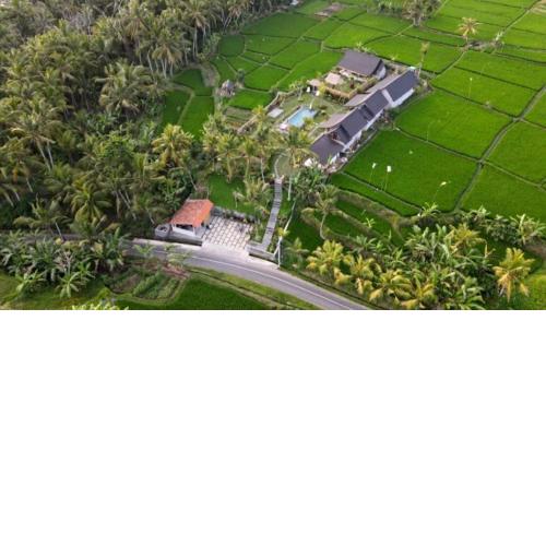 Green Coconut Cottage