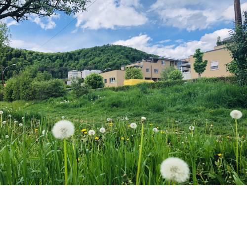 Green field shared Residence