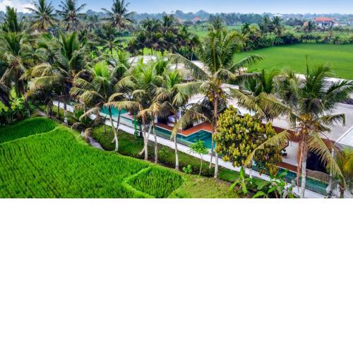 Green Flow Villa 2 Ubud