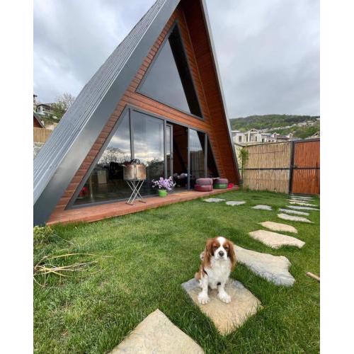 Greenworldbungalov2