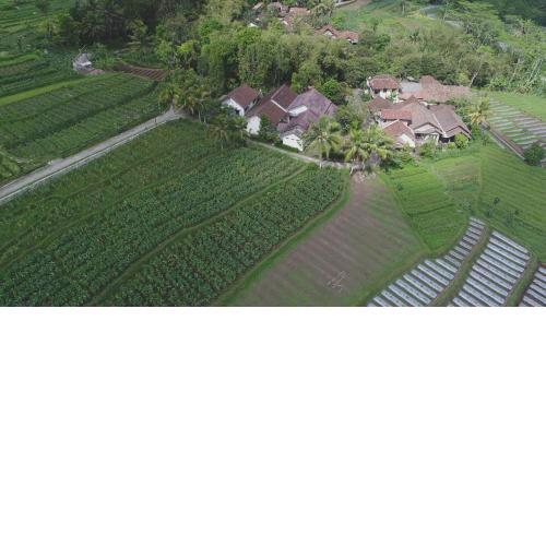 Griya Harja Homestay
