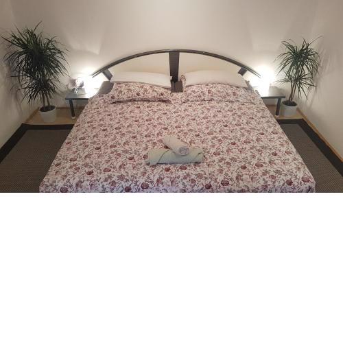 Großes Zimmer in Souterrain