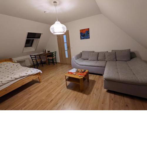 Großes Zimmer mit eigenem Bad/Flur