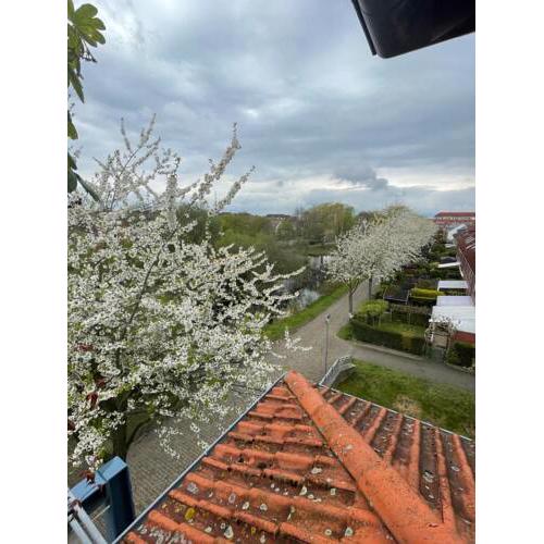 Großzügige Wohnung in Findorff