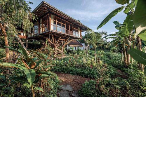 Grün Ubud