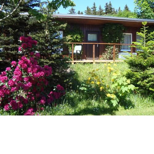 Luxury Cottage in Grunbach Saxony near Lake
