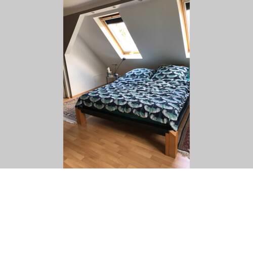Grune Oase in Berlin - Friedrichstr in 20 min 1
