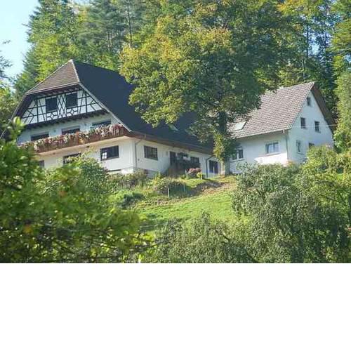 Grüner Ausblick
