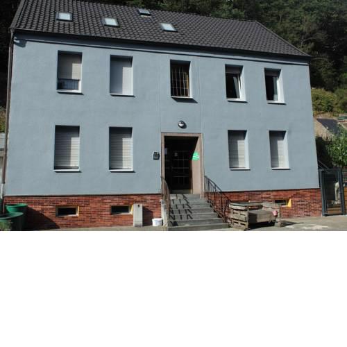 Grüner Blick