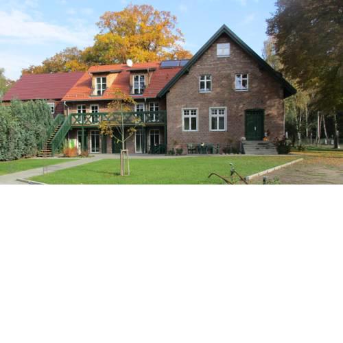Grüner Wald