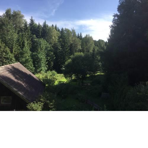 Grünlasmühle