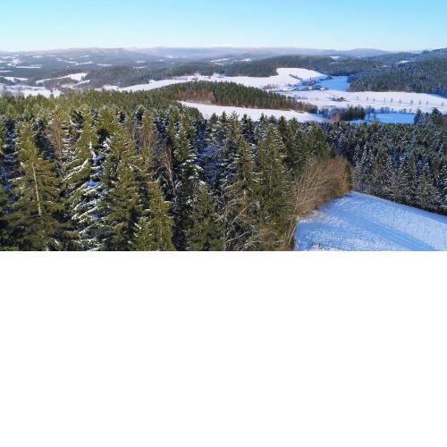 Gruppenhaus MeiZeit-Bayerischer Wald-Richterhof