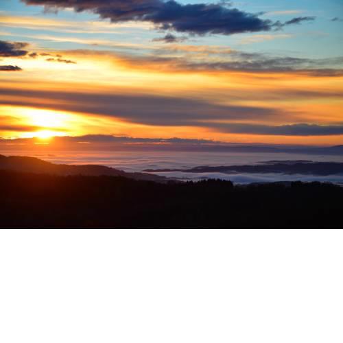Guest House Lagotto's Peak