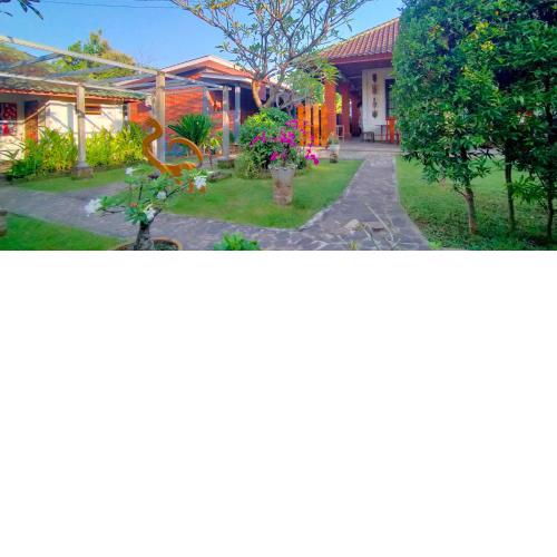 guest house lovina beach area