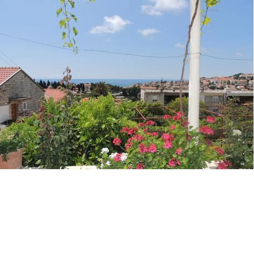 Guest House Luce