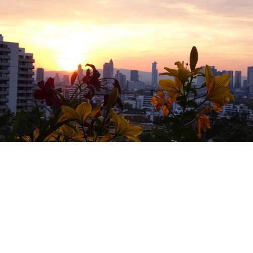 Guestroom with Park View and Pool near City