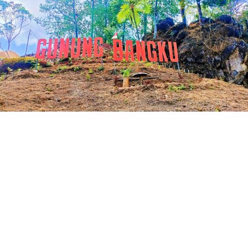 Gunung bangku ciwidey rancabali camp