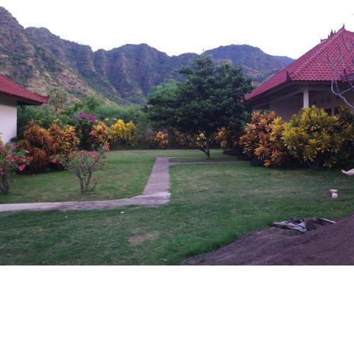 Gunung Mas Pemuteran