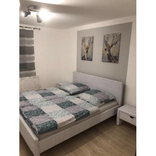 Gut gelegene, gemütliche Wohnung