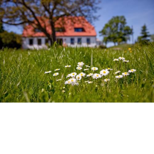 Gutshaus Ketelshagen