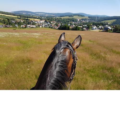 Gutshof Schirgiswalde