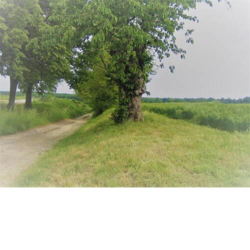 Gutshof TDA-Lohma