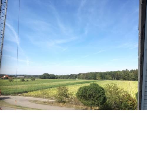Haardtblick