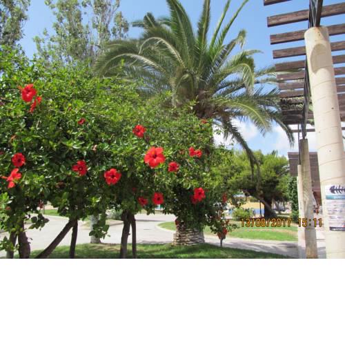 Hacienda Bellamar
