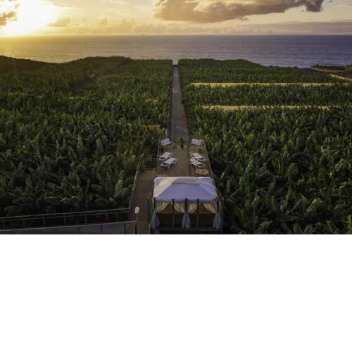 Hacienda La Dehesa (Only Adults)