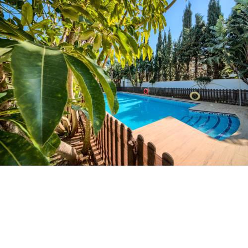 Hacienda Roche Viejo